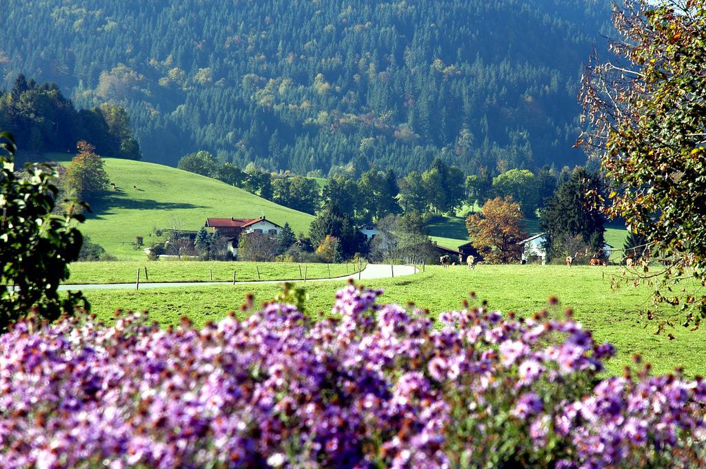 Ferienwohnungen Im Alpengaestehaus Marzoll - Bad Reichenhall Bagian luar foto